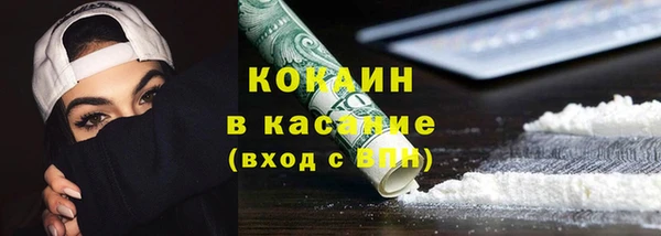 ПСИЛОЦИБИНОВЫЕ ГРИБЫ Алзамай