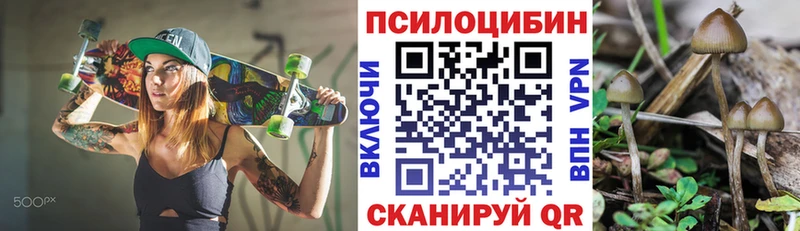 где купить наркотик  Калининец  площадка Telegram  Псилоцибиновые грибы Psilocybe 